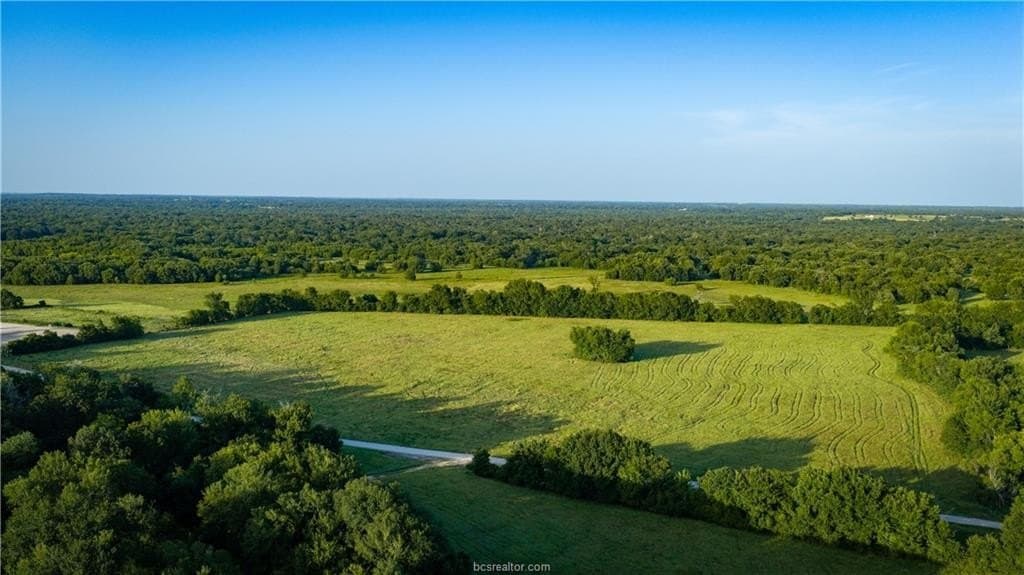 703 acres in Brazos County - photo 9