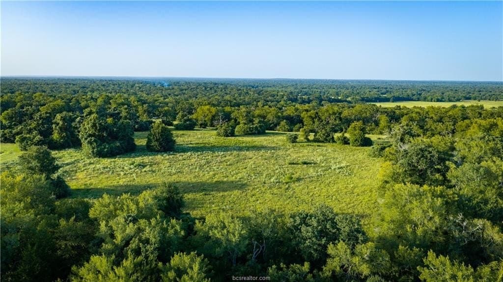 703 acres in Brazos County - photo 26