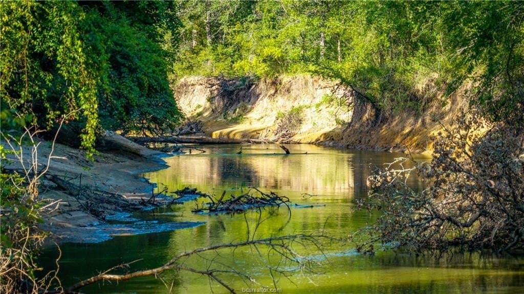 703 acres in Brazos County - photo 50