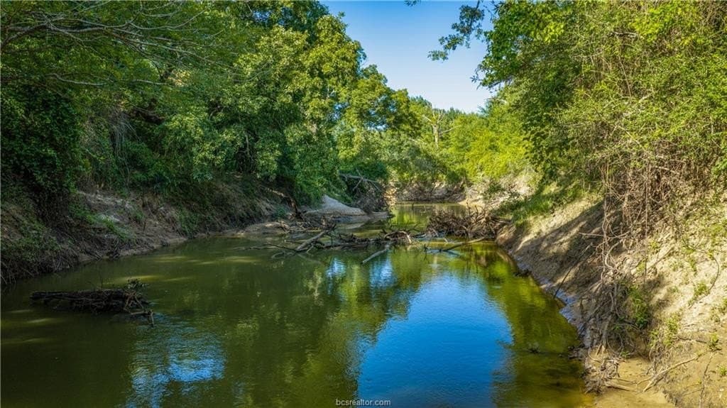 703 acres in Brazos County - photo 27