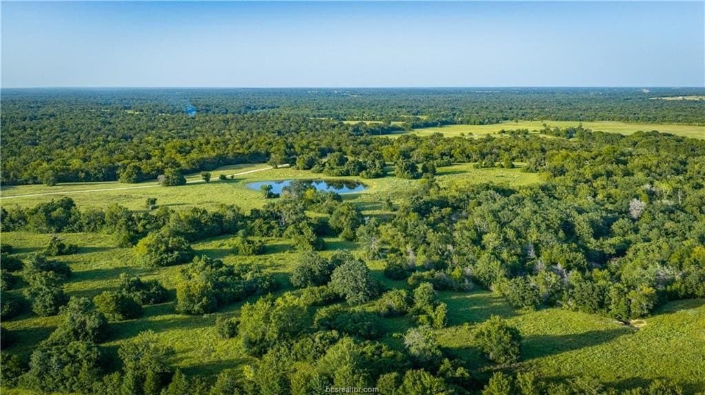 703 acres in Brazos County - photo 10