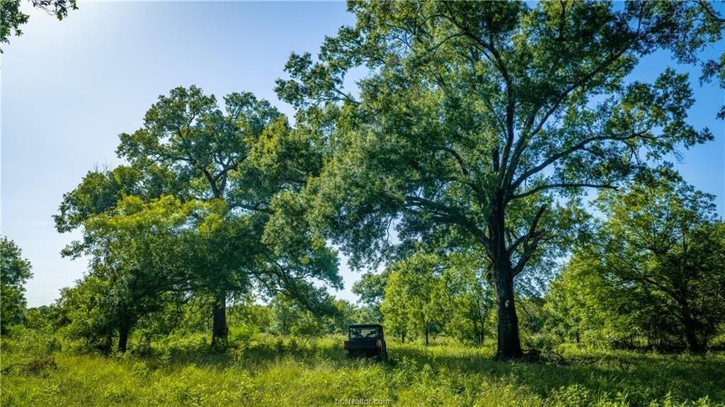 703 acres in Brazos County - photo 41