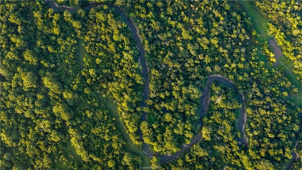 703 acres in Brazos County - photo 21