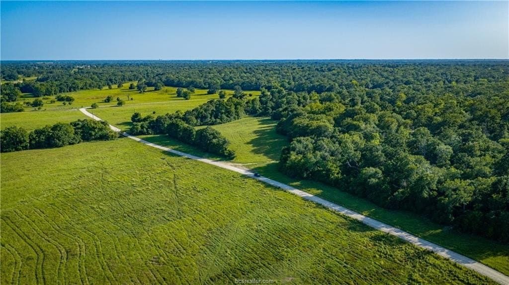 703 acres in Brazos County - photo 38