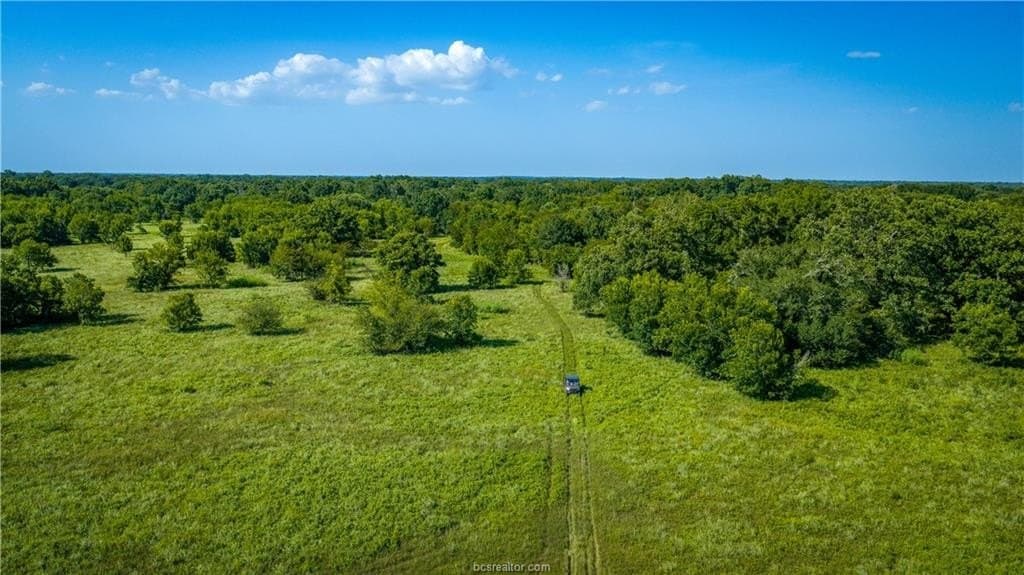 703 acres in Brazos County - photo 44