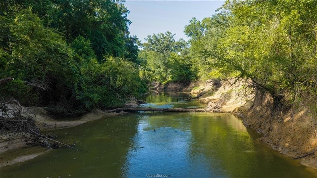 703 acres in Brazos County - photo 40