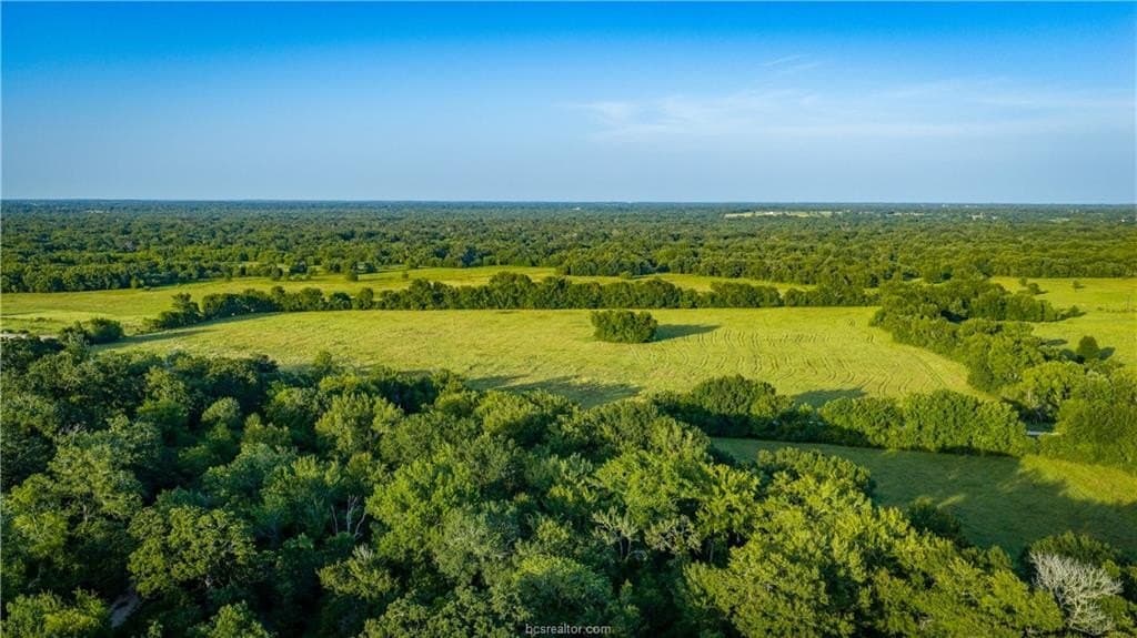 703 acres in Brazos County - photo 23