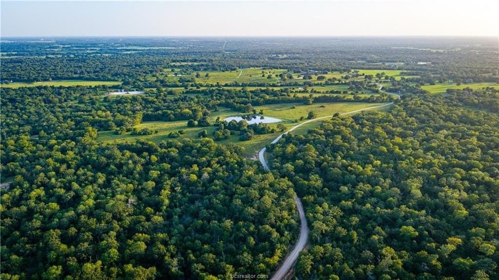 703 acres in Brazos County - photo 6