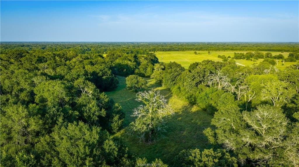 703 acres in Brazos County - photo 25