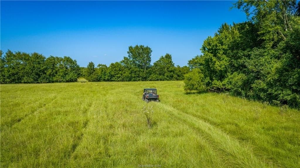 703 acres in Brazos County - photo 43