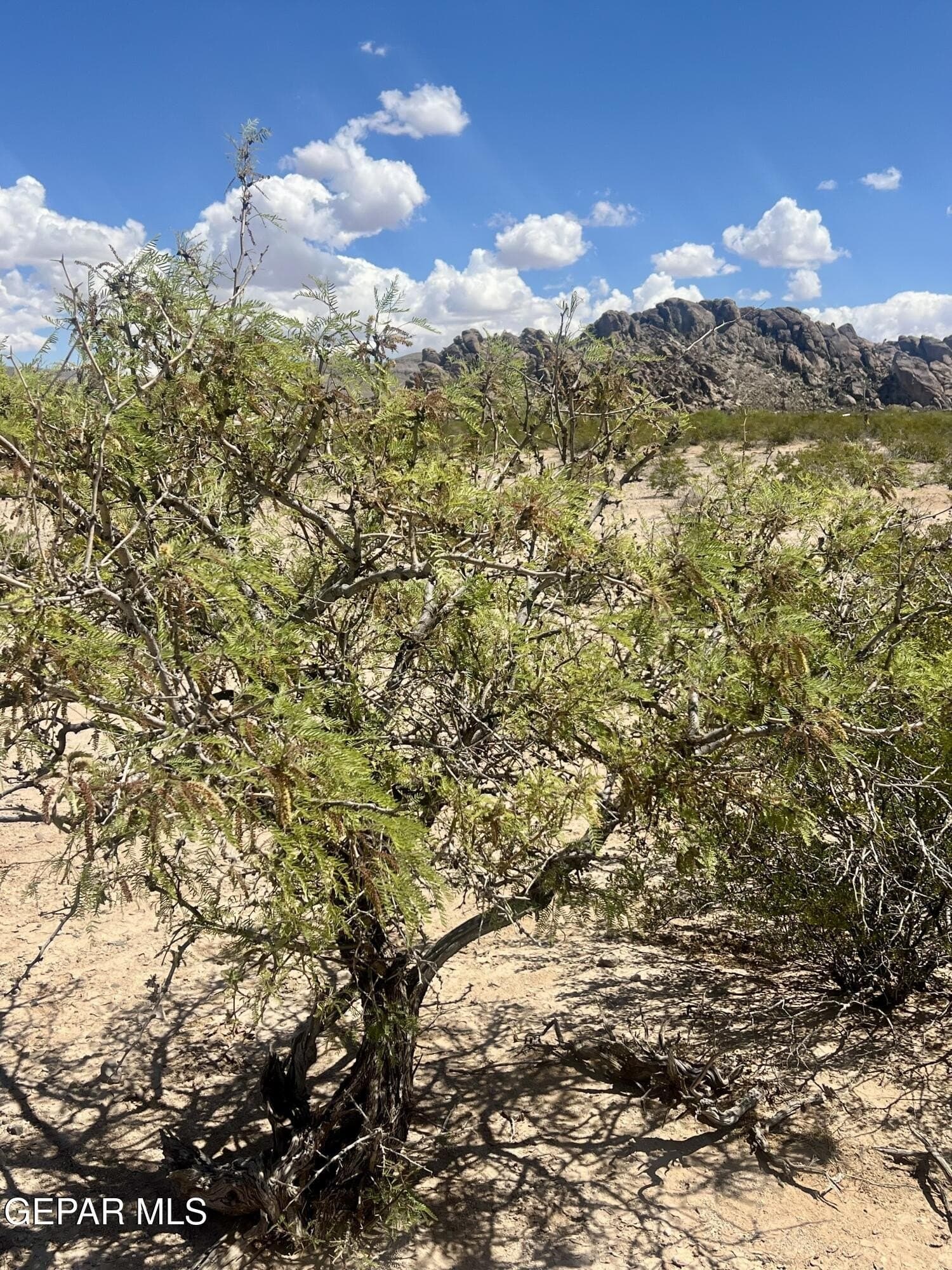 5.1 acres in El Paso County - photo 6