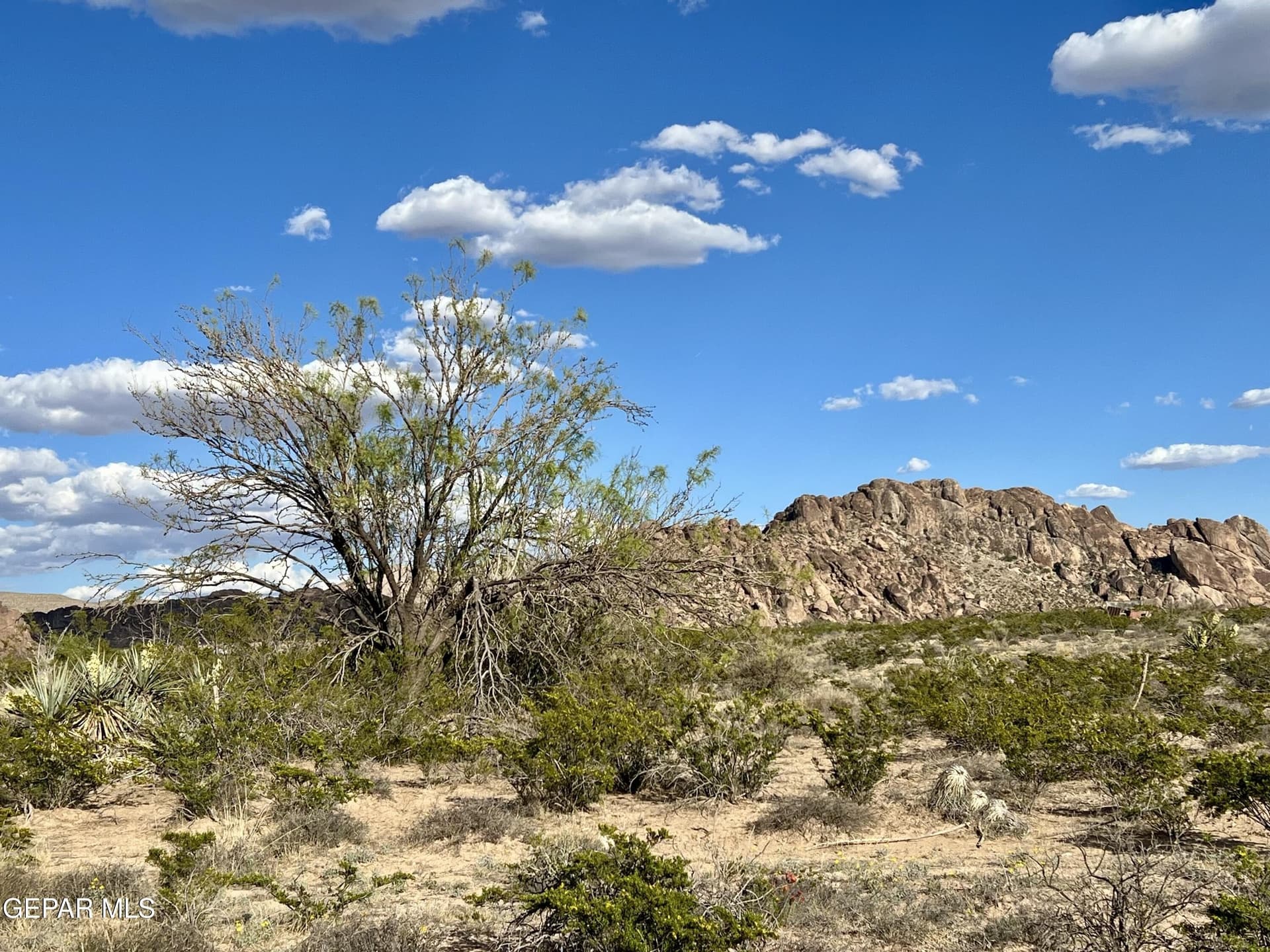 5.1 acres in El Paso County - photo 24