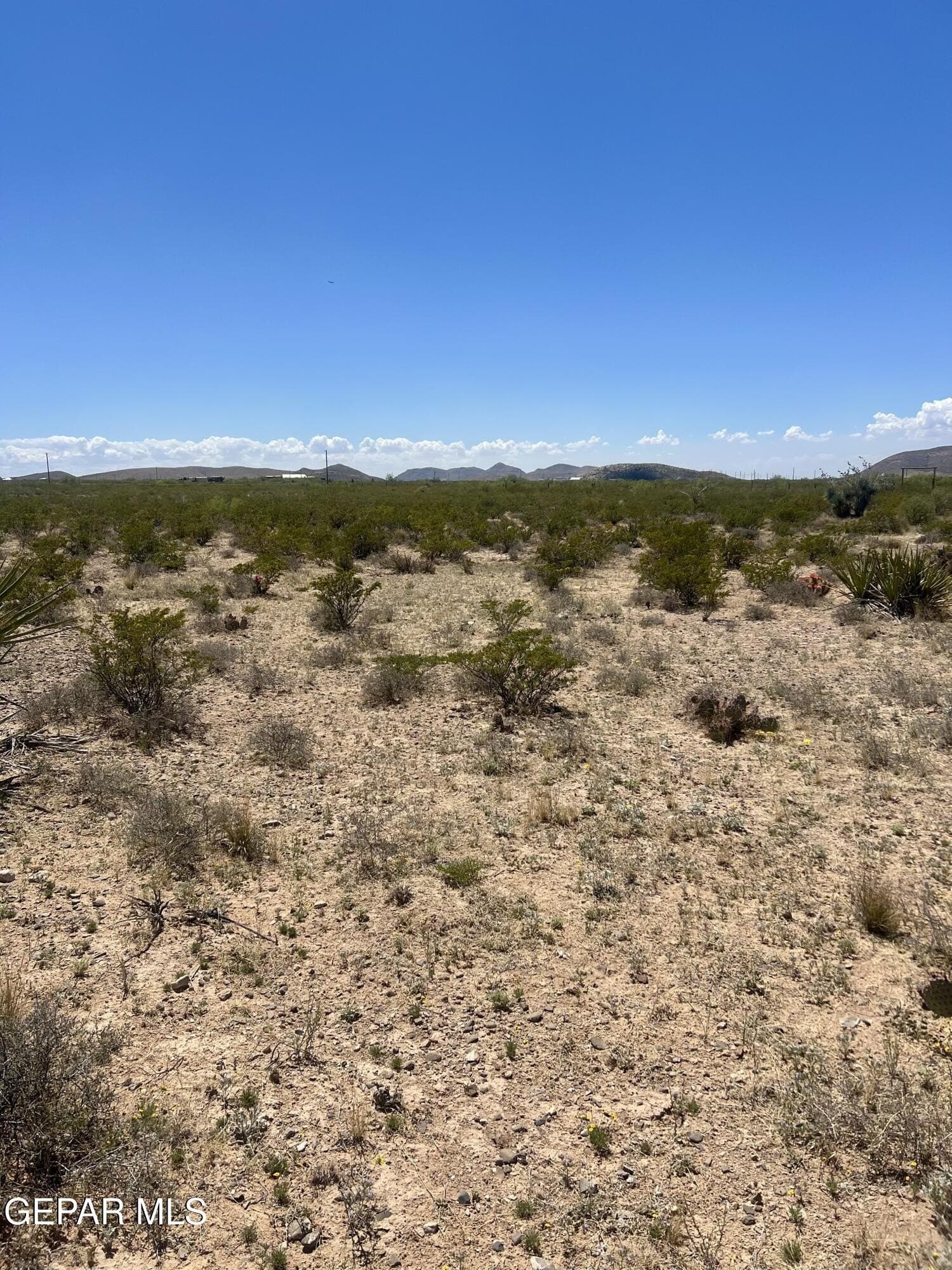 5.1 acres in El Paso County - photo 13
