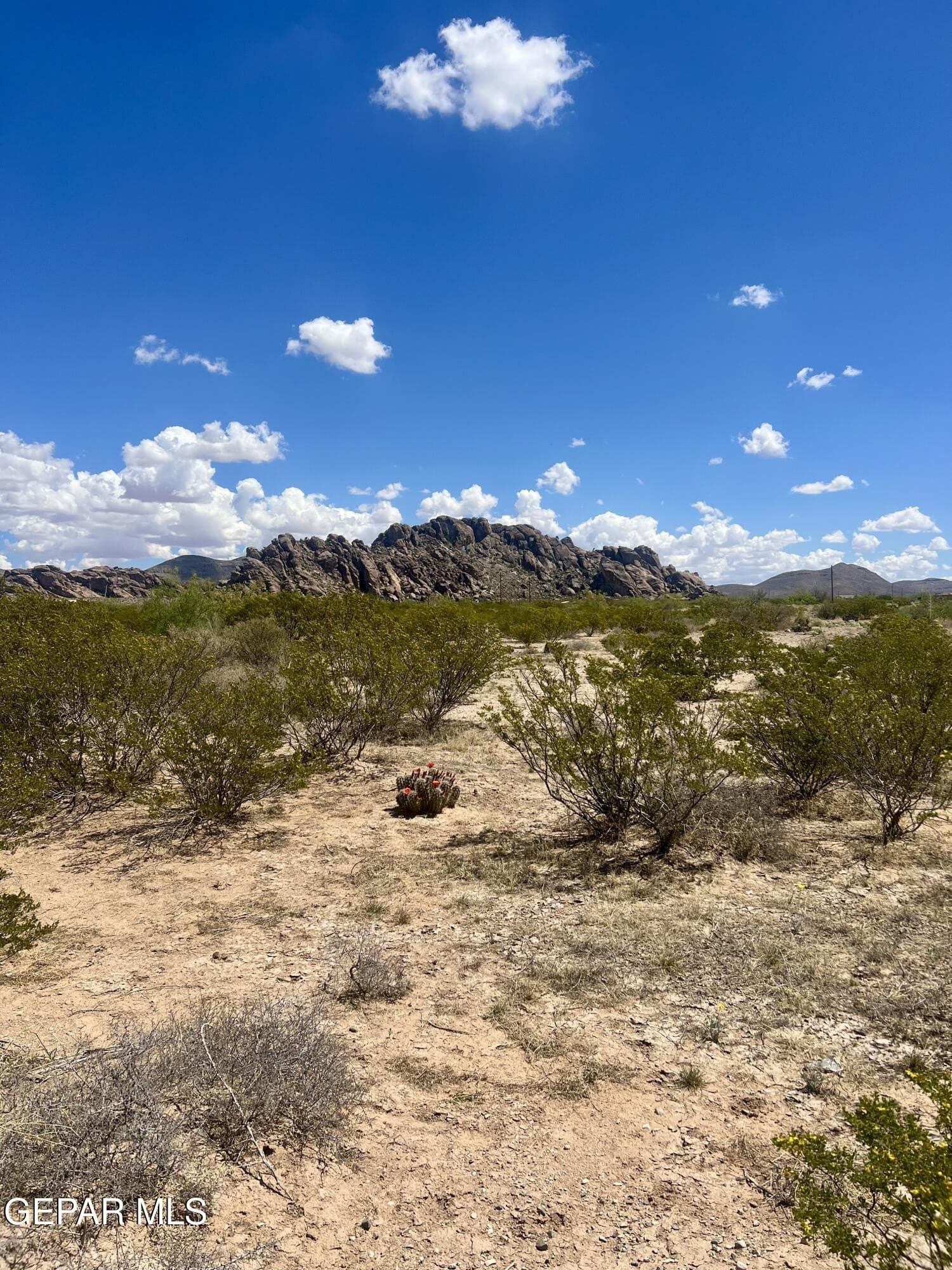 5.1 acres in El Paso County - photo 17