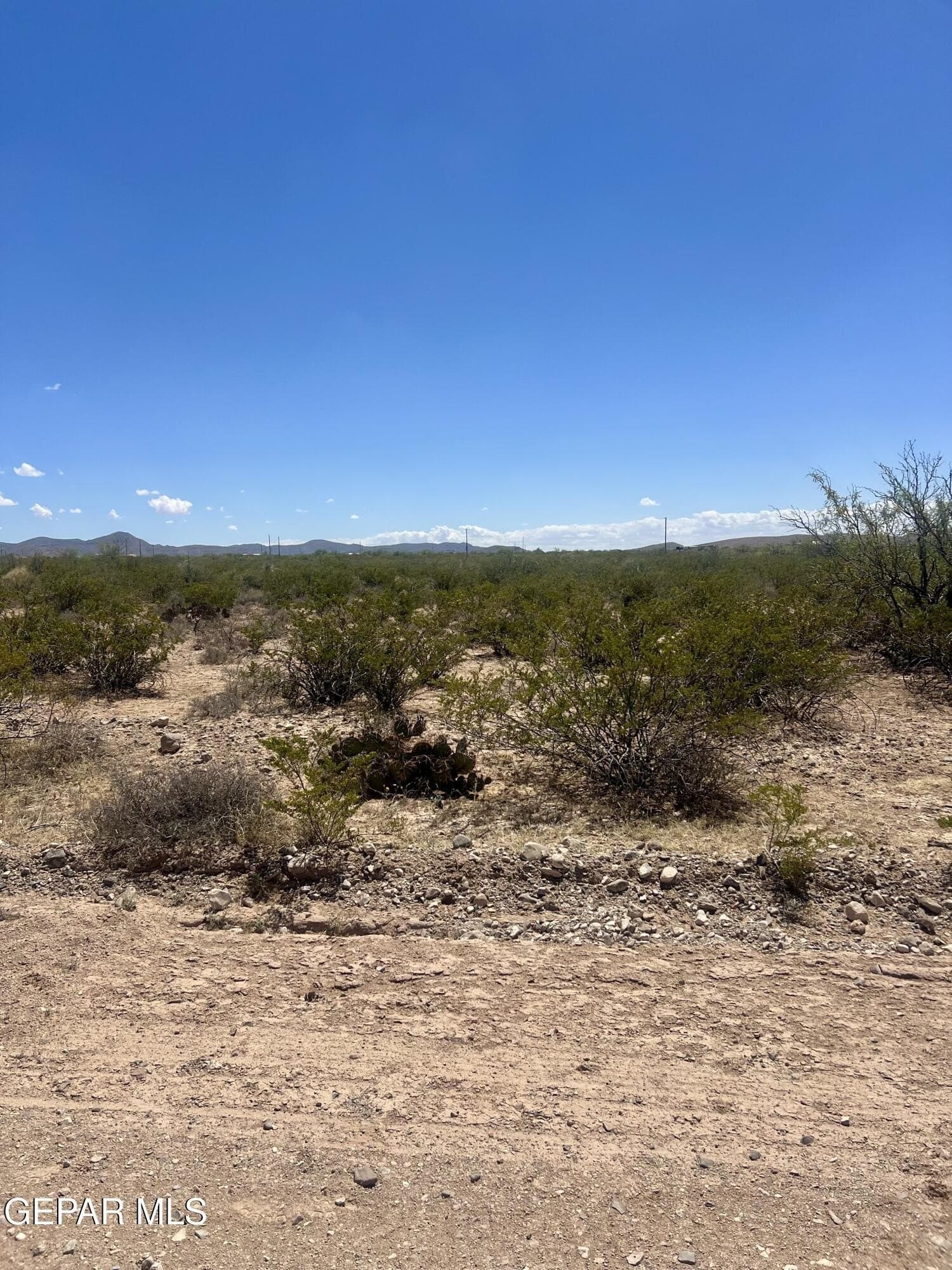 5.1 acres in El Paso County - photo 23