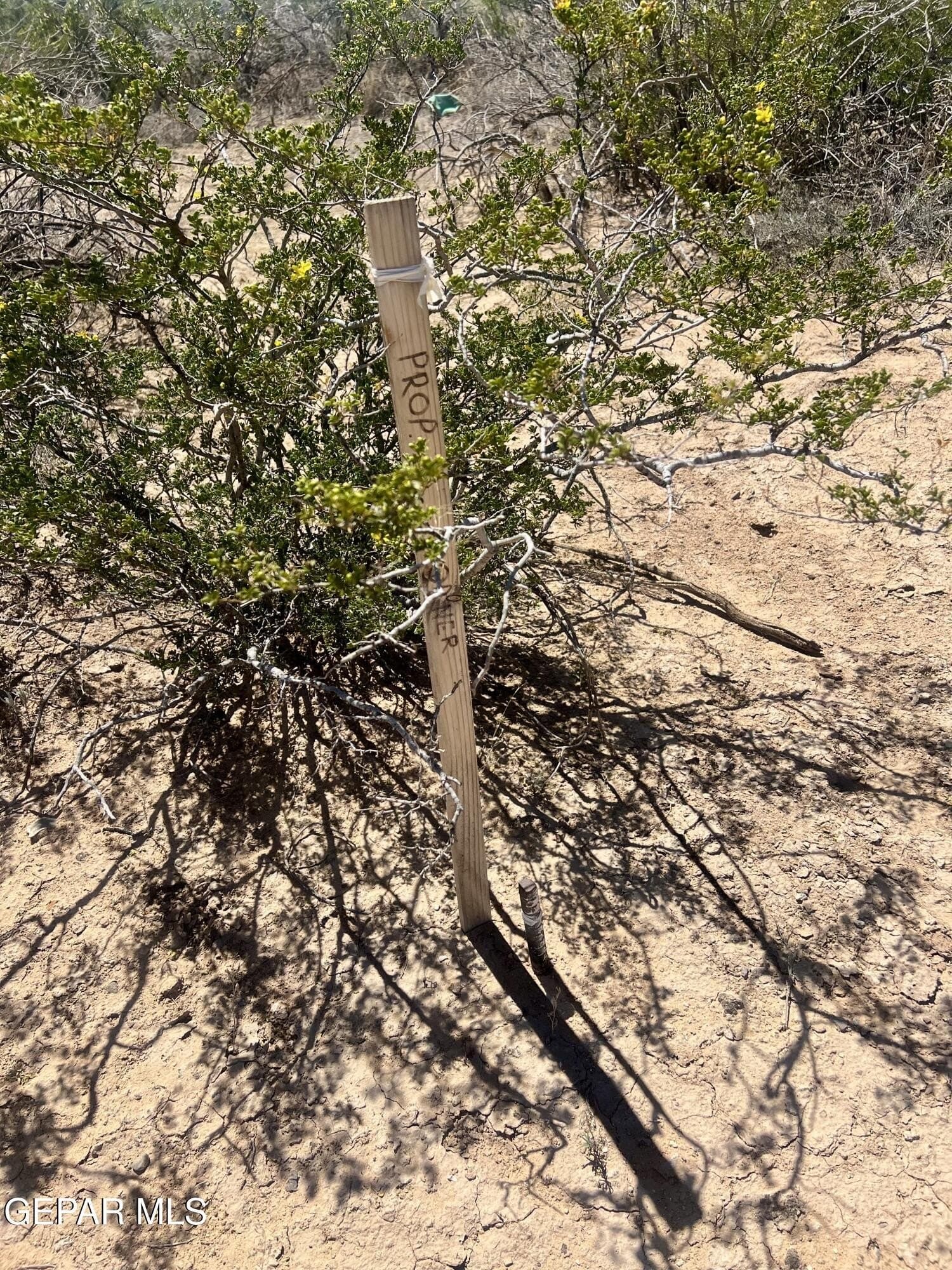 5.1 acres in El Paso County - photo 33