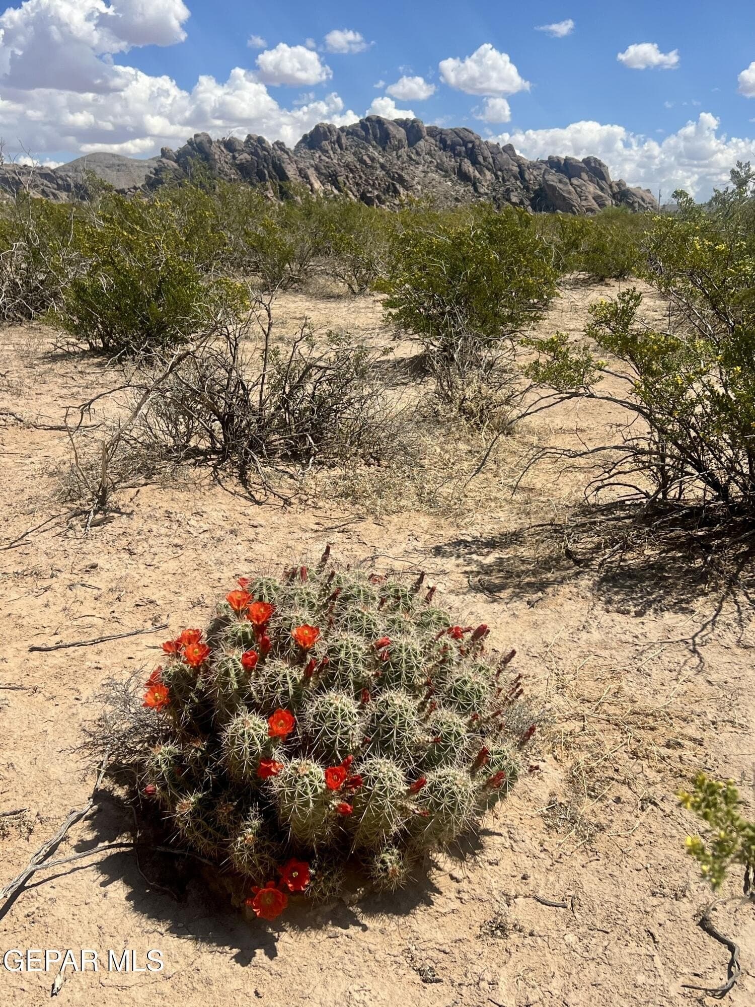 5.1 acres in El Paso County featured view