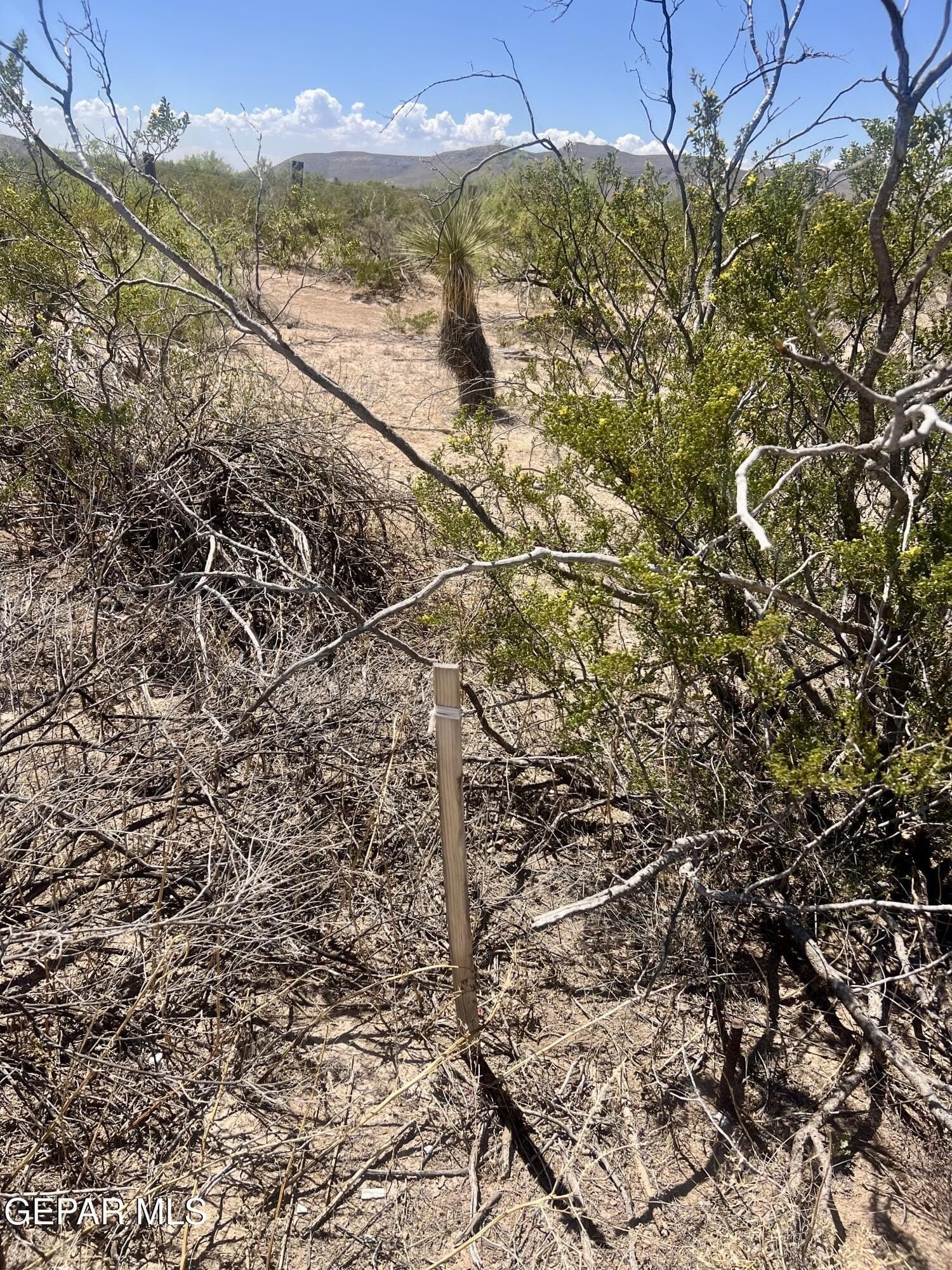 5.1 acres in El Paso County - photo 32