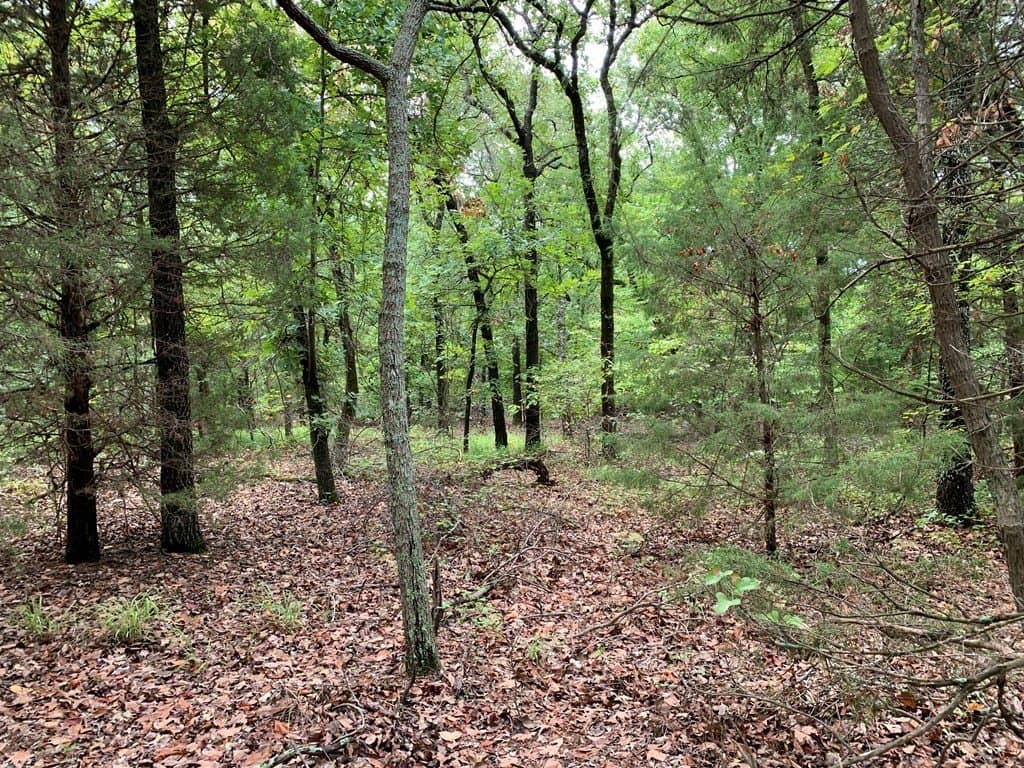 36.97 acres in HENDERSON County - photo 10