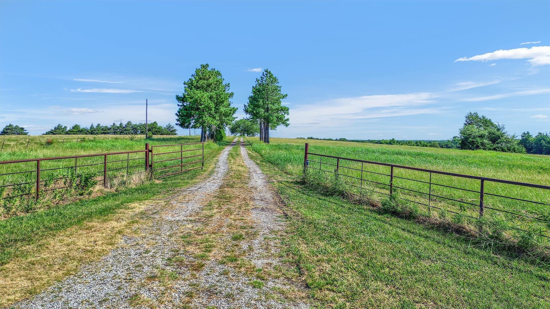65.96 acres in Fannin County - photo 38