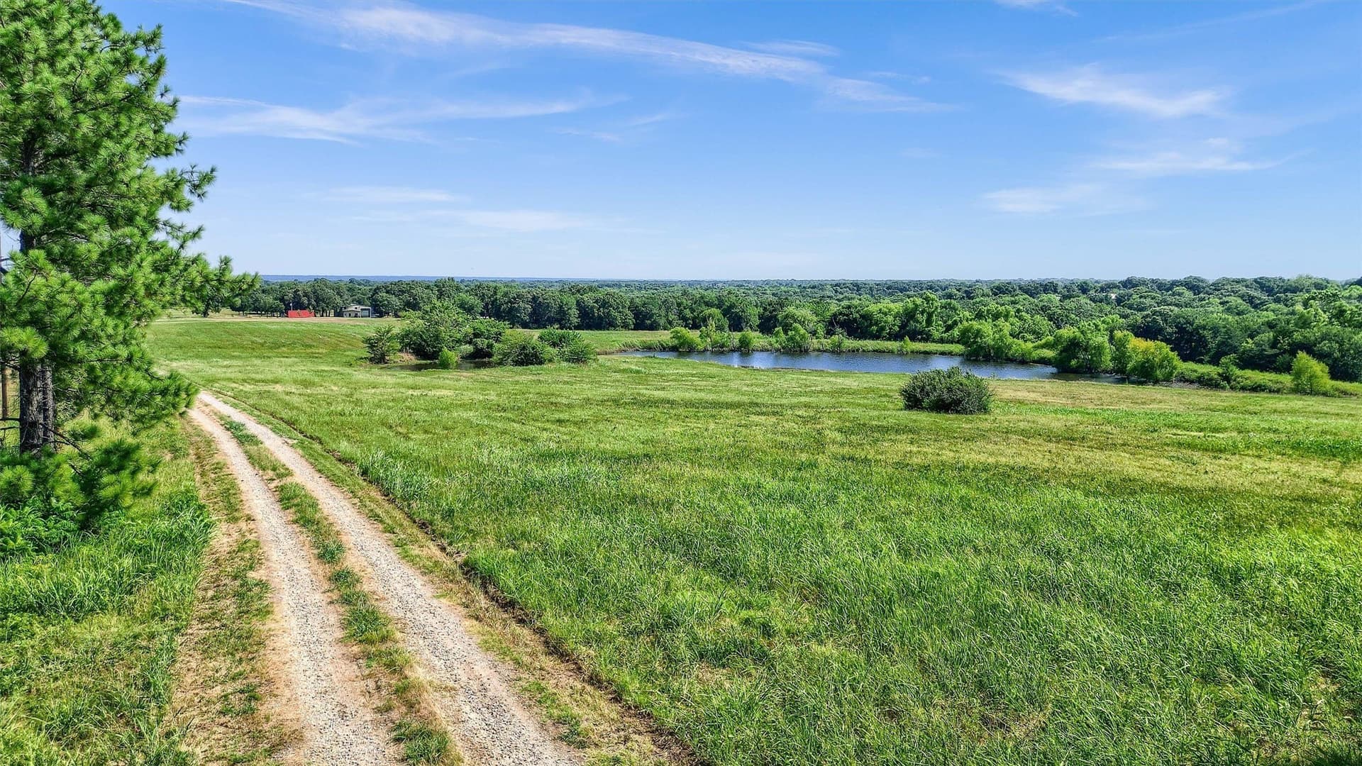 65.96 acres in Fannin County - photo 36
