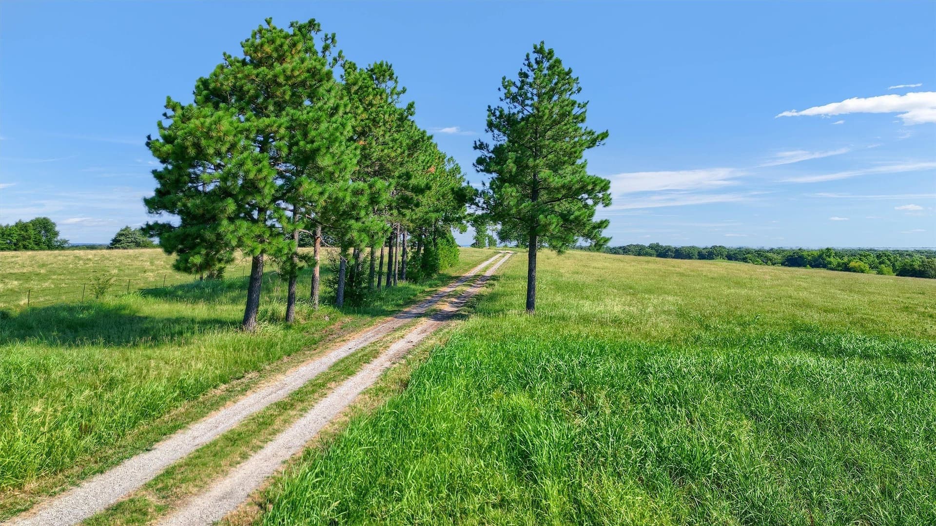 65.96 acres in Fannin County - photo 8