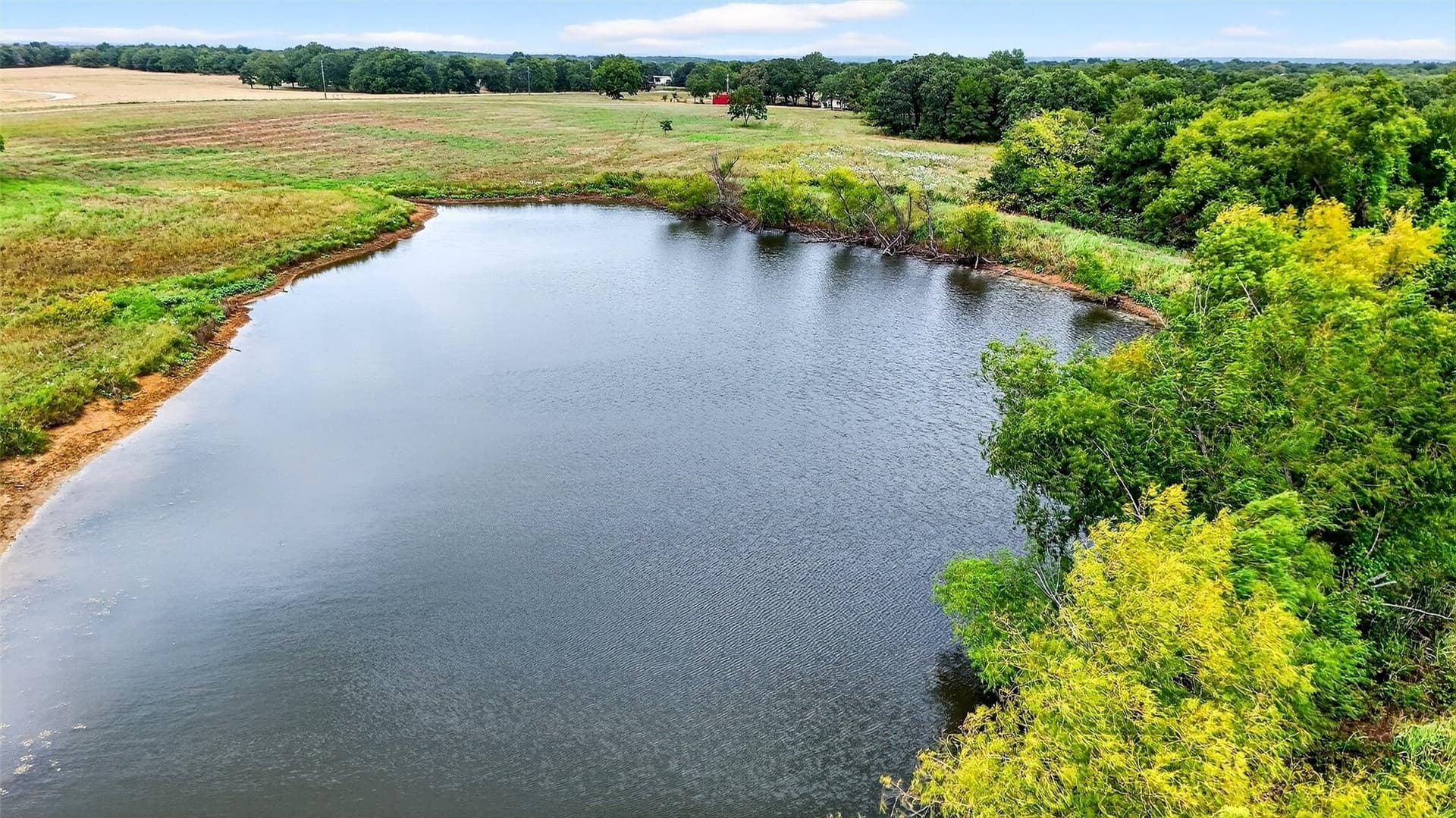 65.96 acres in Fannin County - photo 7