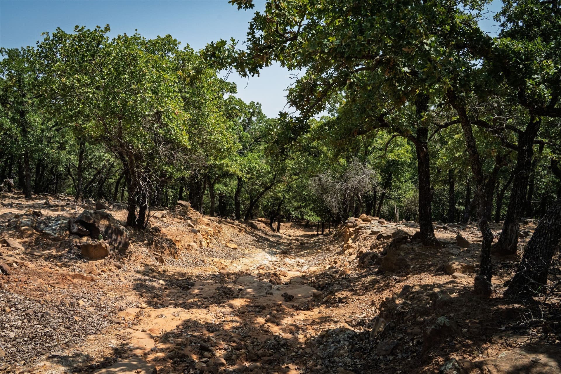 100.78 acres in Young County - photo 34