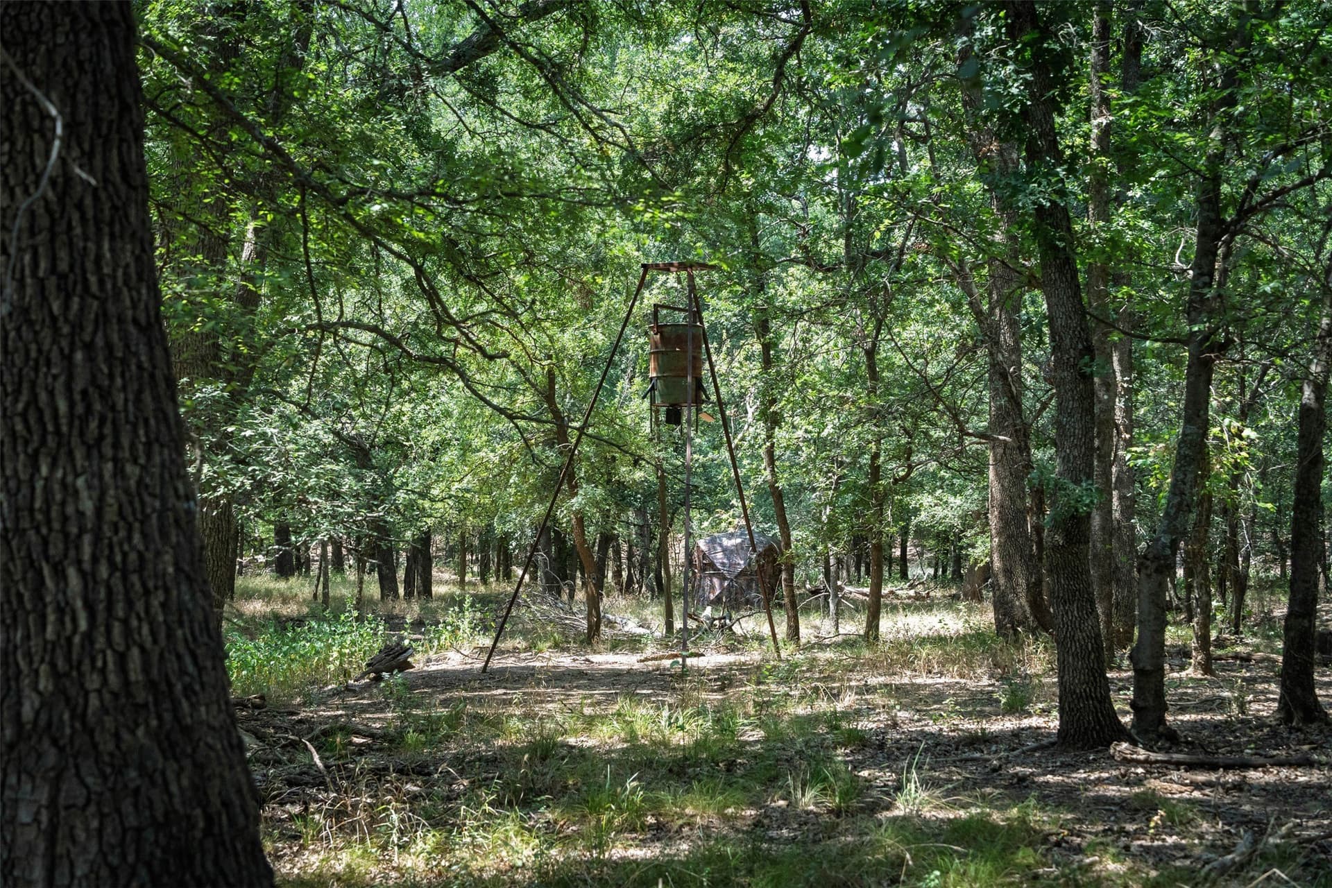 100.78 acres in Young County - photo 37