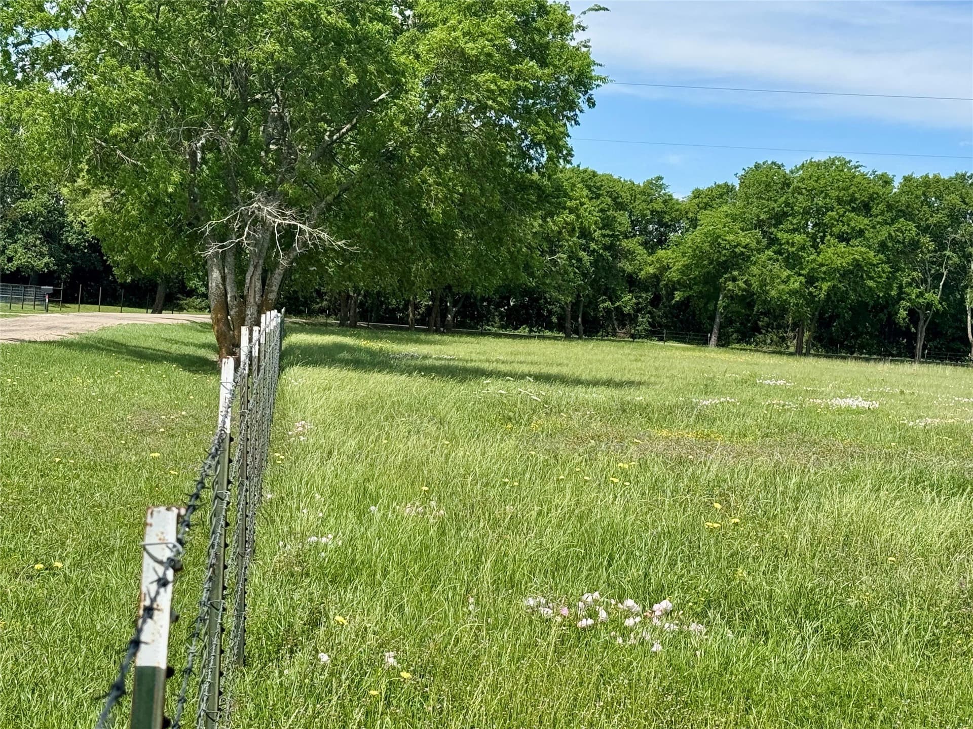9 acres in Hunt County gallery image 4