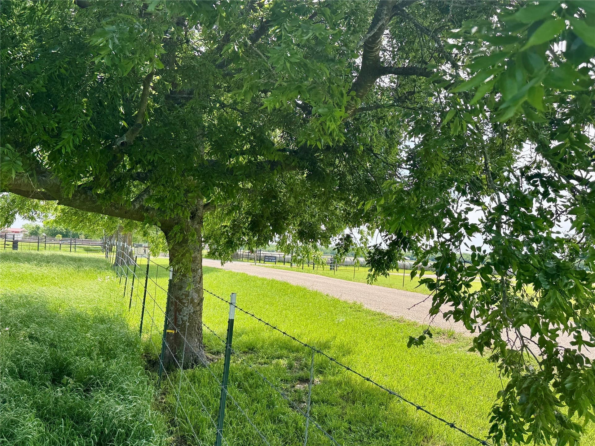 9 acres in Hunt County - photo 6