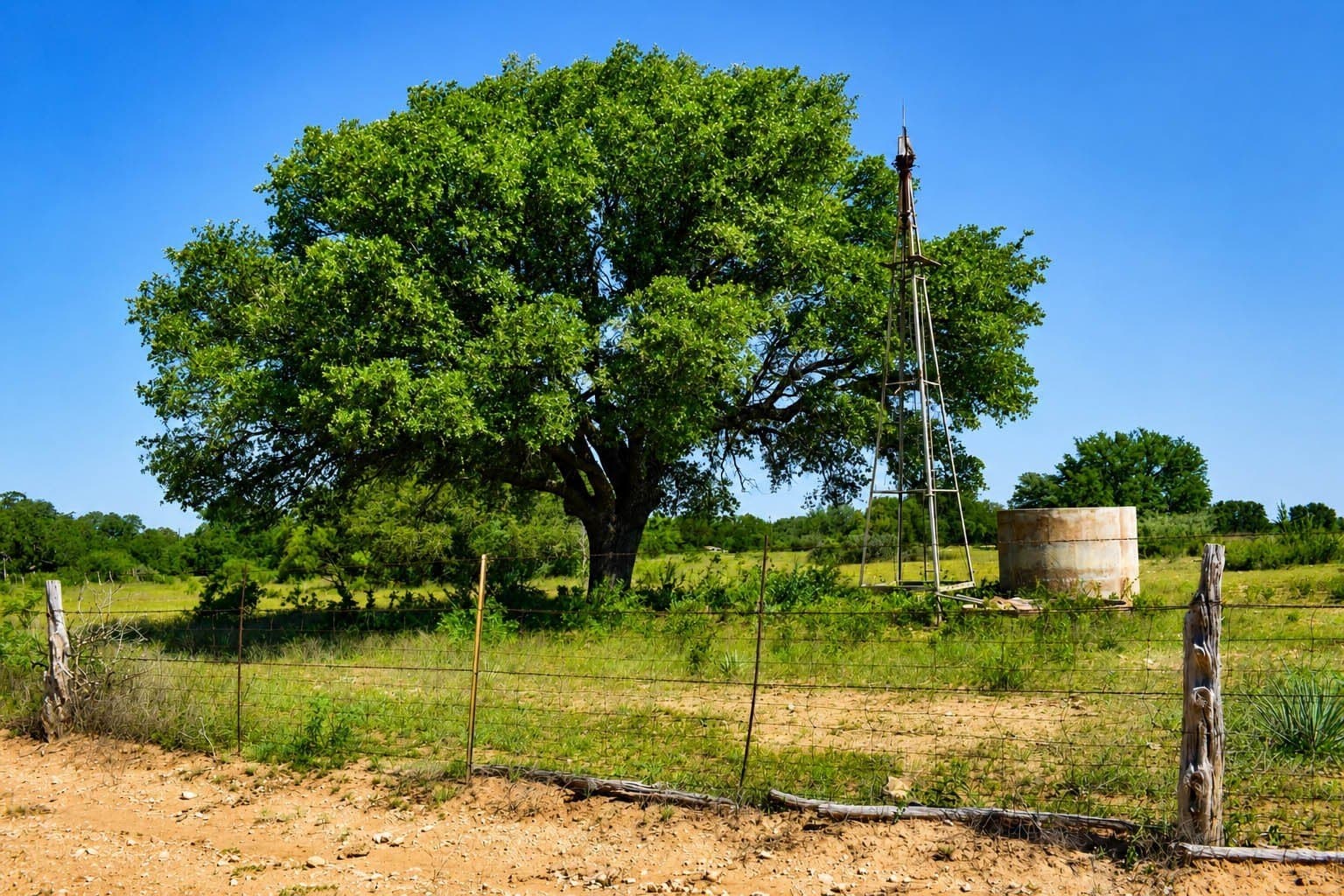 539.39 acres in McCulloch County - photo 5