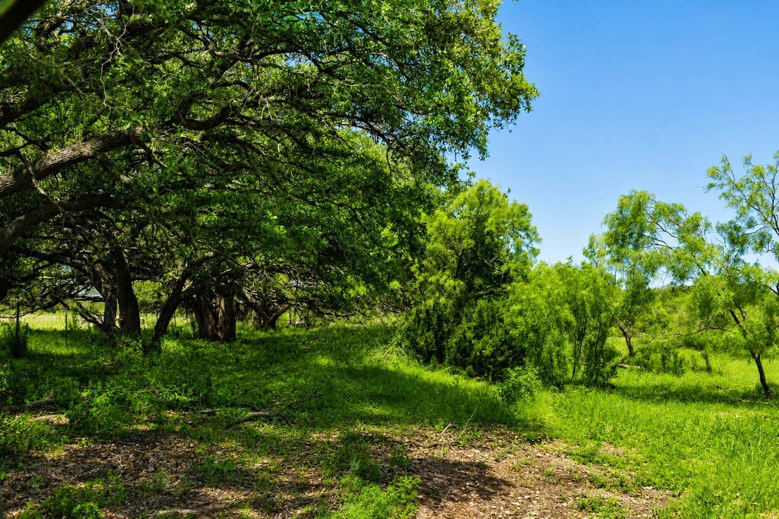 539.39 acres in McCulloch County - photo 24