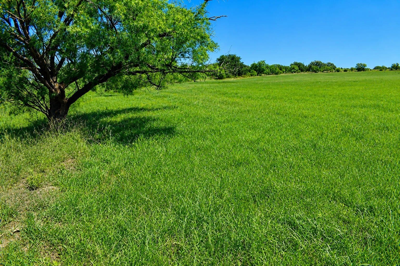 539.39 acres in McCulloch County - photo 22