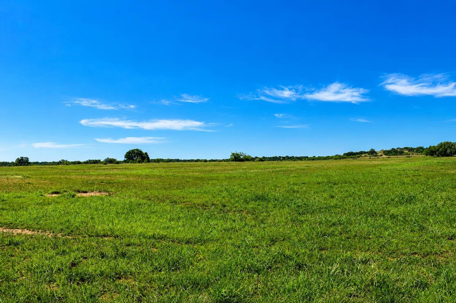 539.39 acres in McCulloch County - photo 10