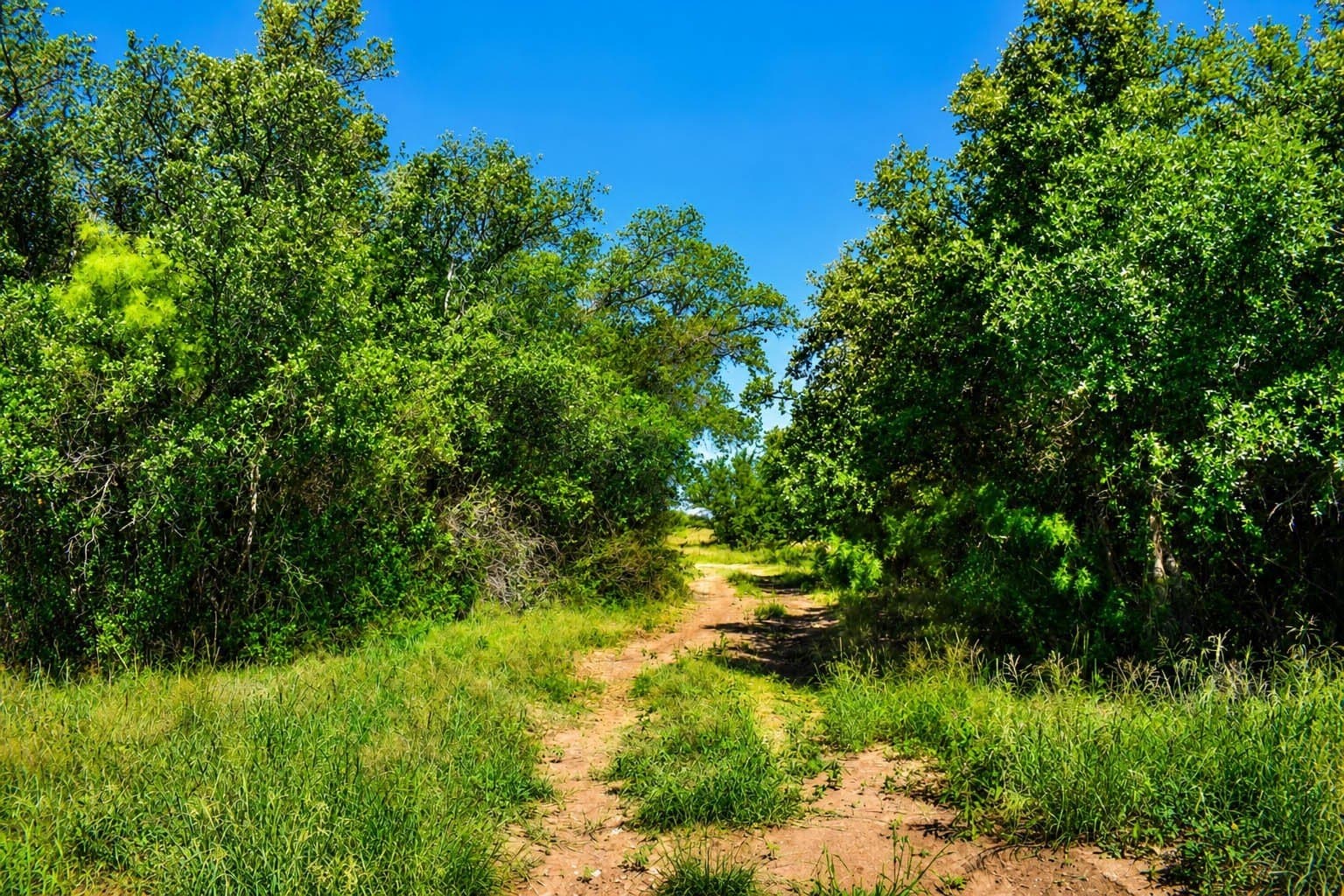 539.39 acres in McCulloch County - photo 33