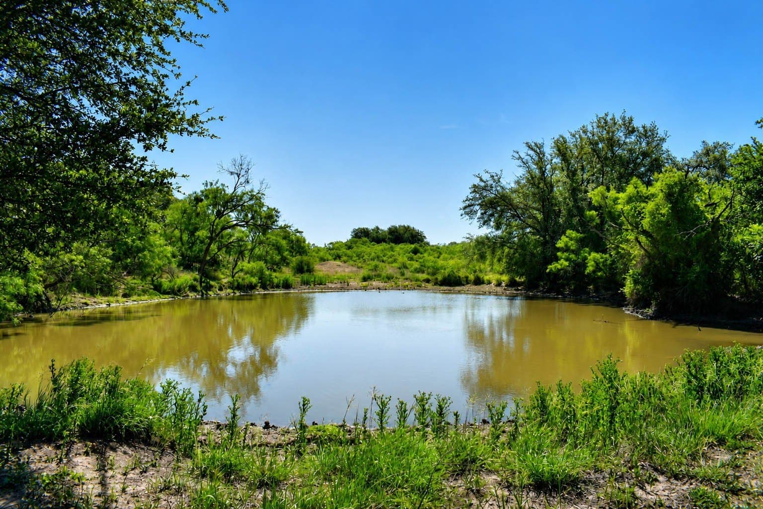539.39 acres in McCulloch County - photo 25