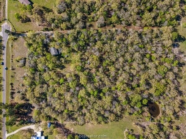 9.06 acres in Grimes County - photo 10