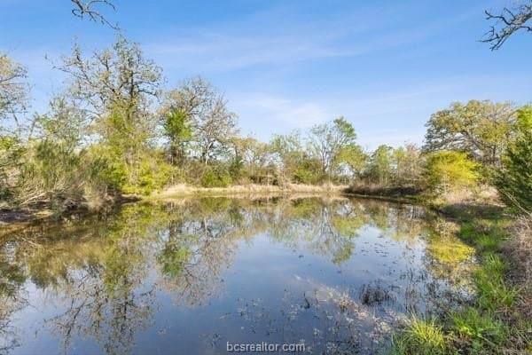 9.06 acres in Grimes County - photo 5