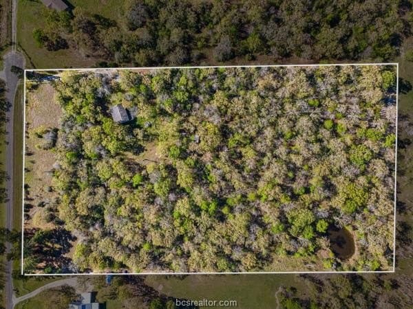 9.06 acres in Grimes County - photo 3