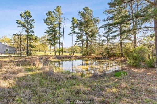 9.06 acres in Grimes County - photo 4