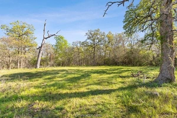 9.06 acres in Grimes County - photo 8