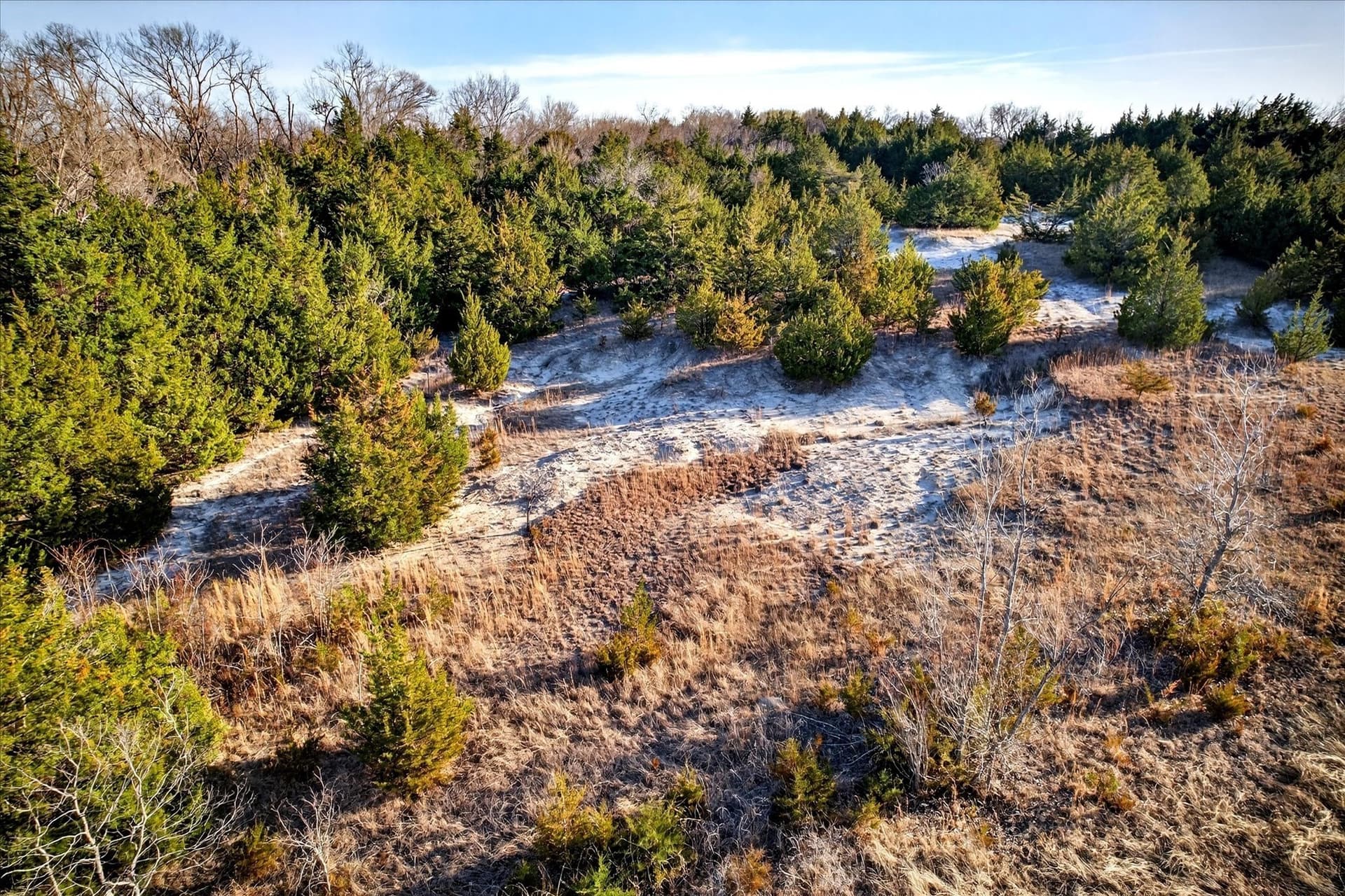 100 acres in Collin County featured view