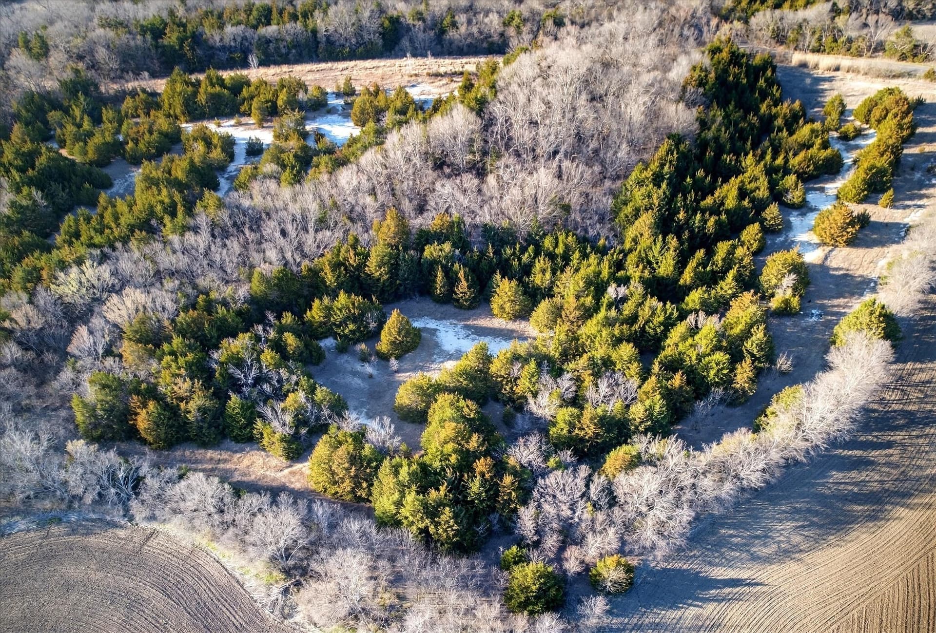 100 acres in Collin County - photo 6