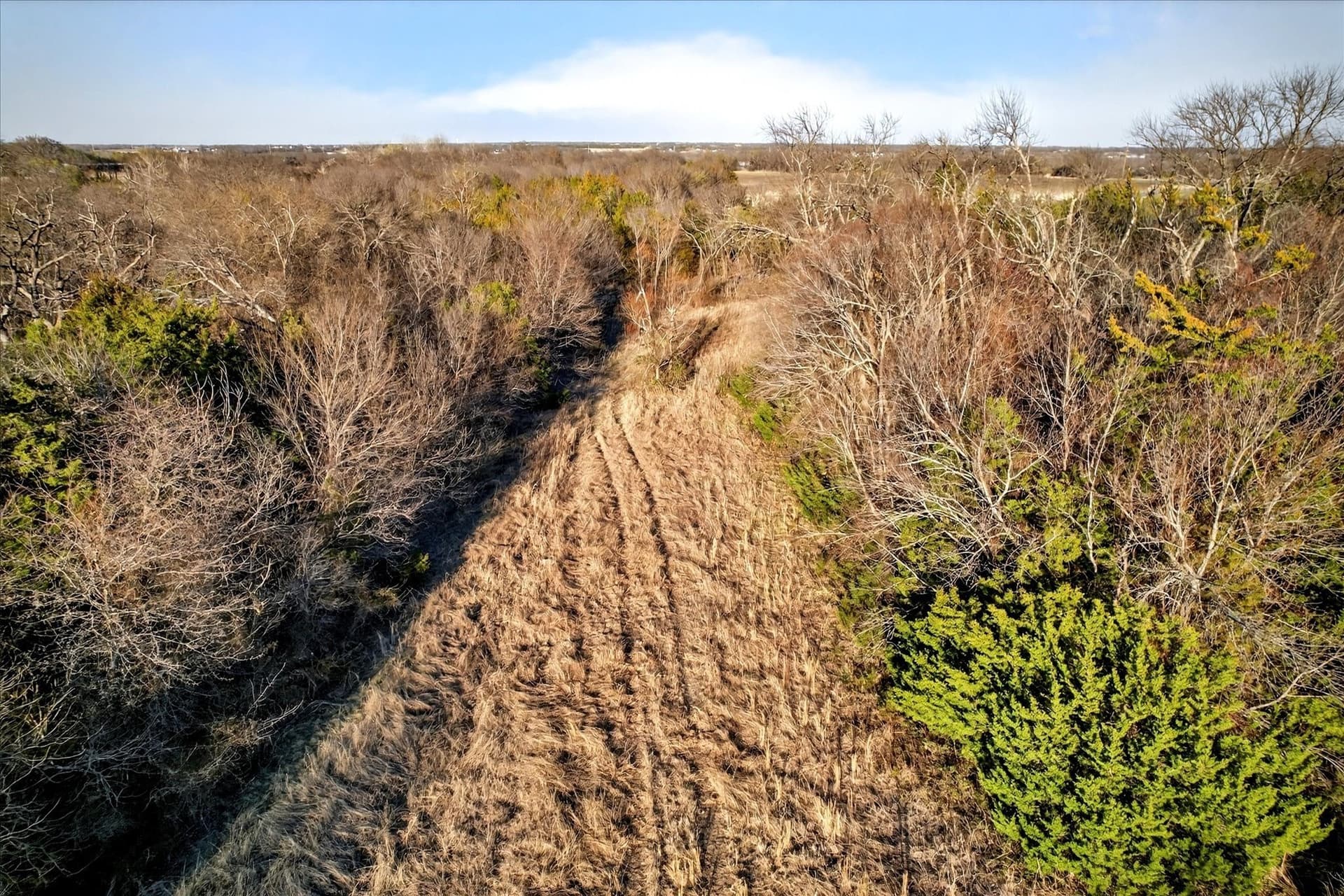 100 acres in Collin County gallery image 3