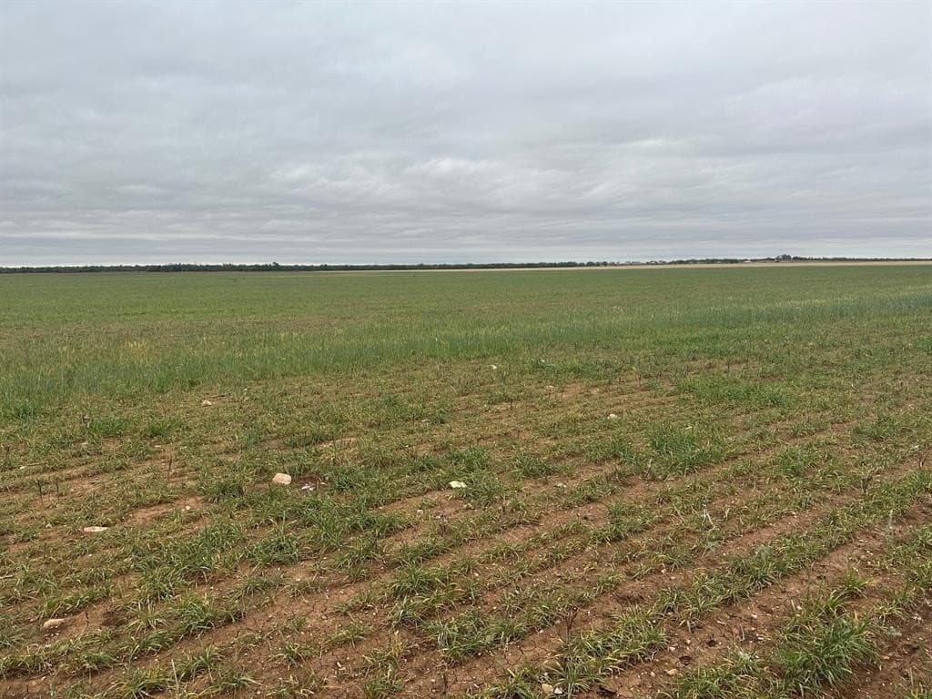 12.6 acres in Jones County