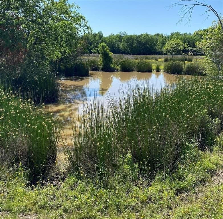 37.7 acres in Wood County featured view