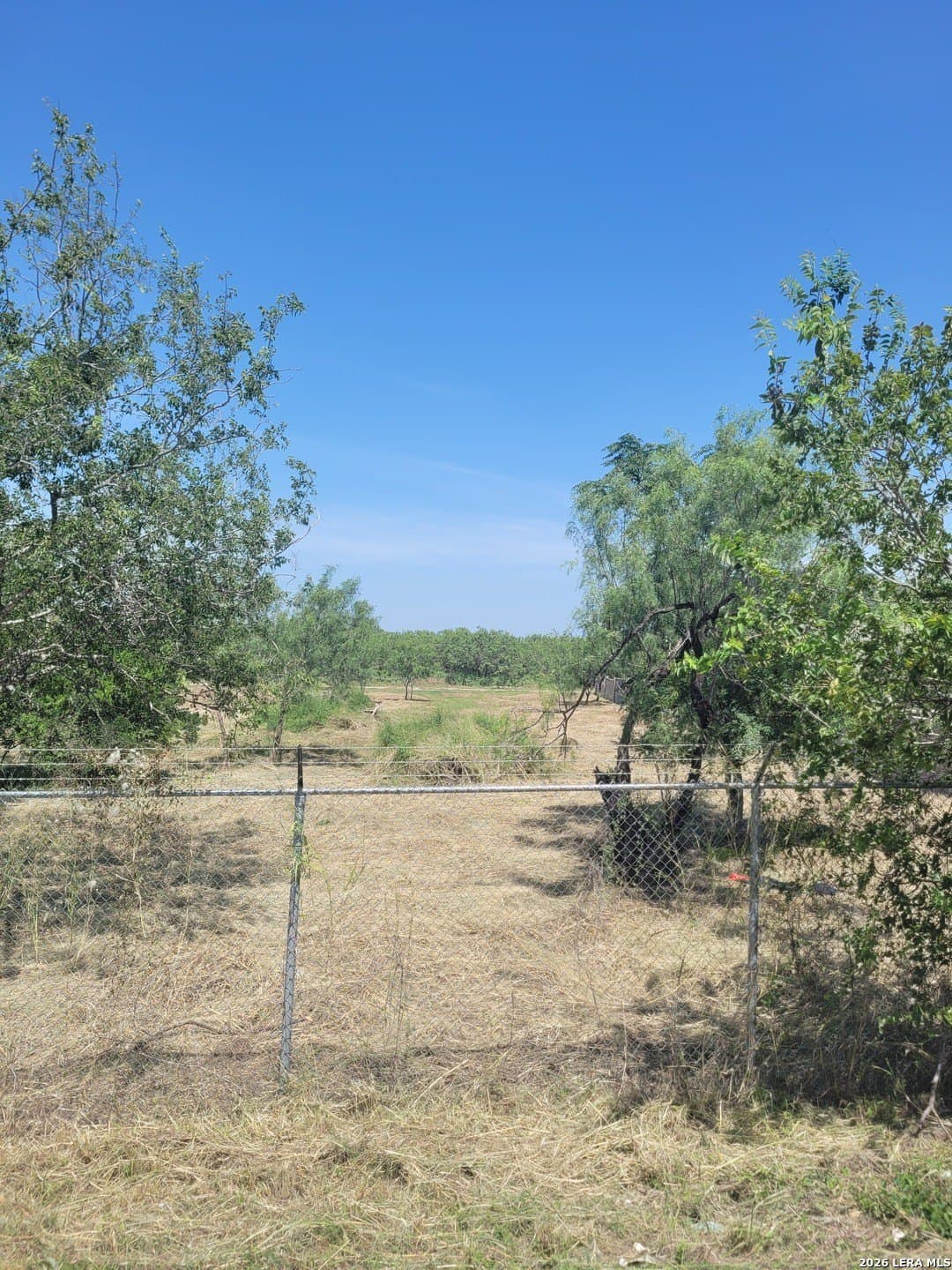 0.79 acres in Medina County - photo 6