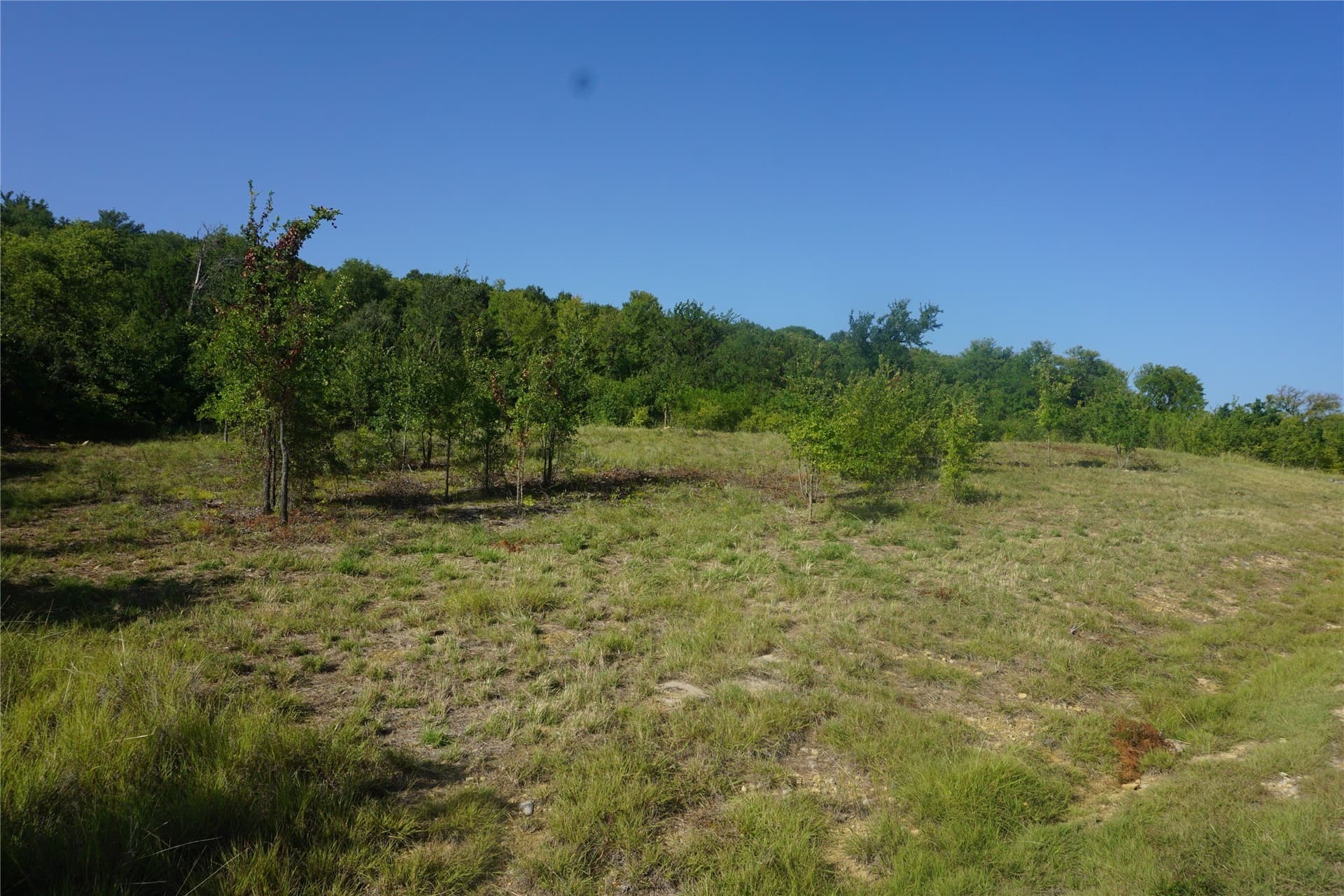 2.01 acres in Palo Pinto County - photo 7