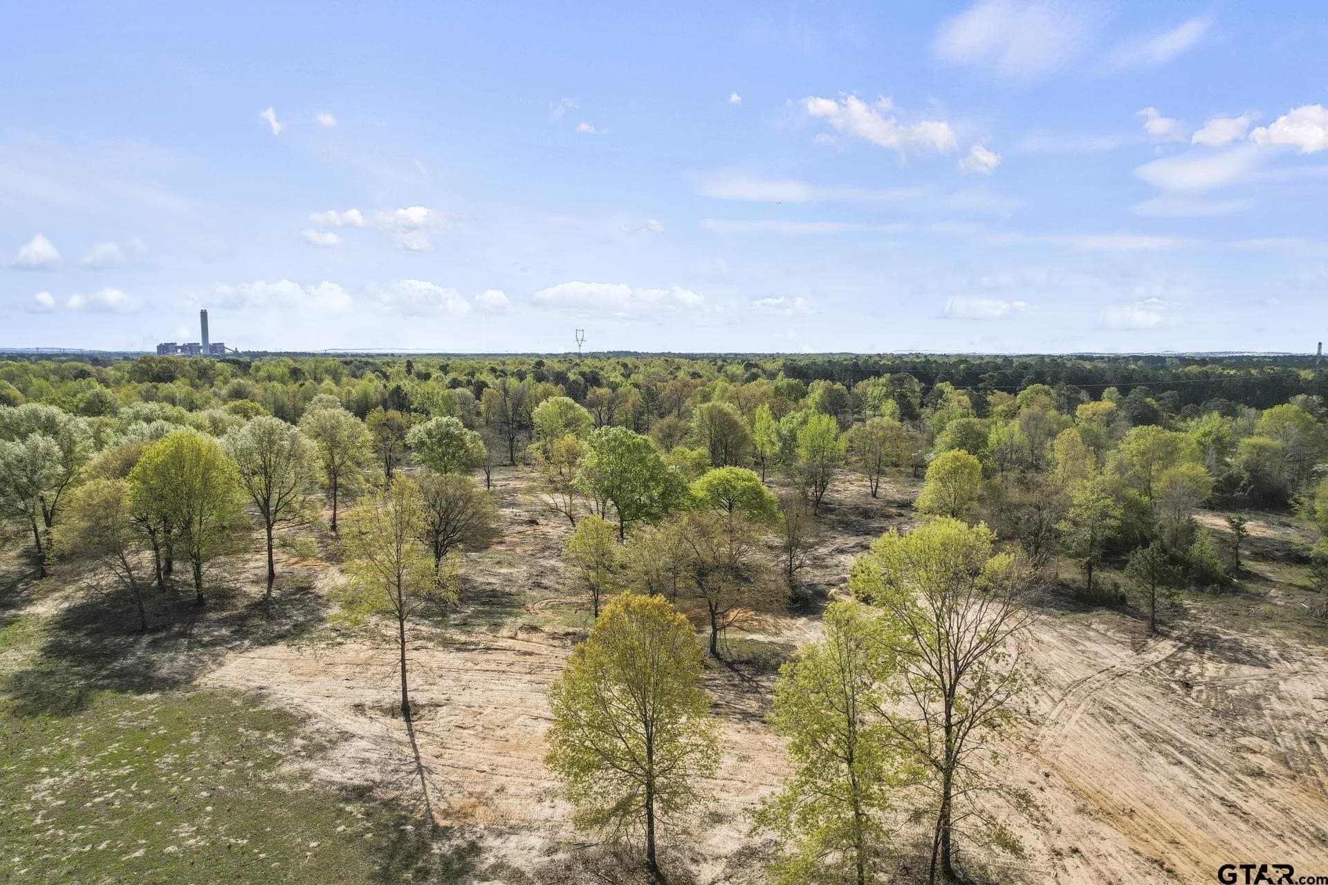 44.47 acres in Titus County - photo 9